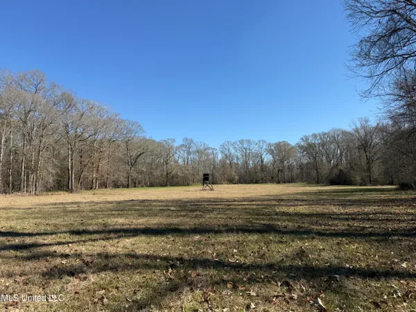 $2,300,000 | 114 Huff Lane, Roxie, MS 39661