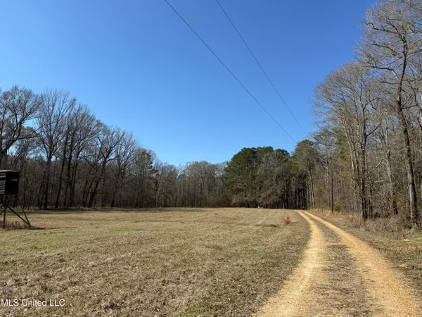 $2,300,000 | 114 Huff Lane, Roxie, MS 39661