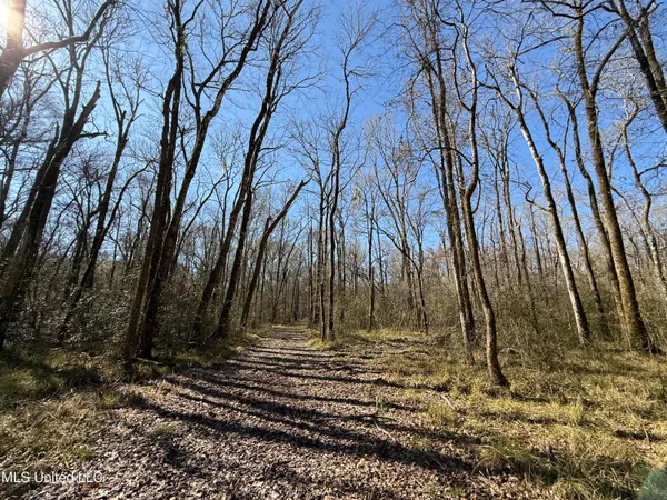 $2,300,000 | 114 Huff Lane, Roxie, MS 39661