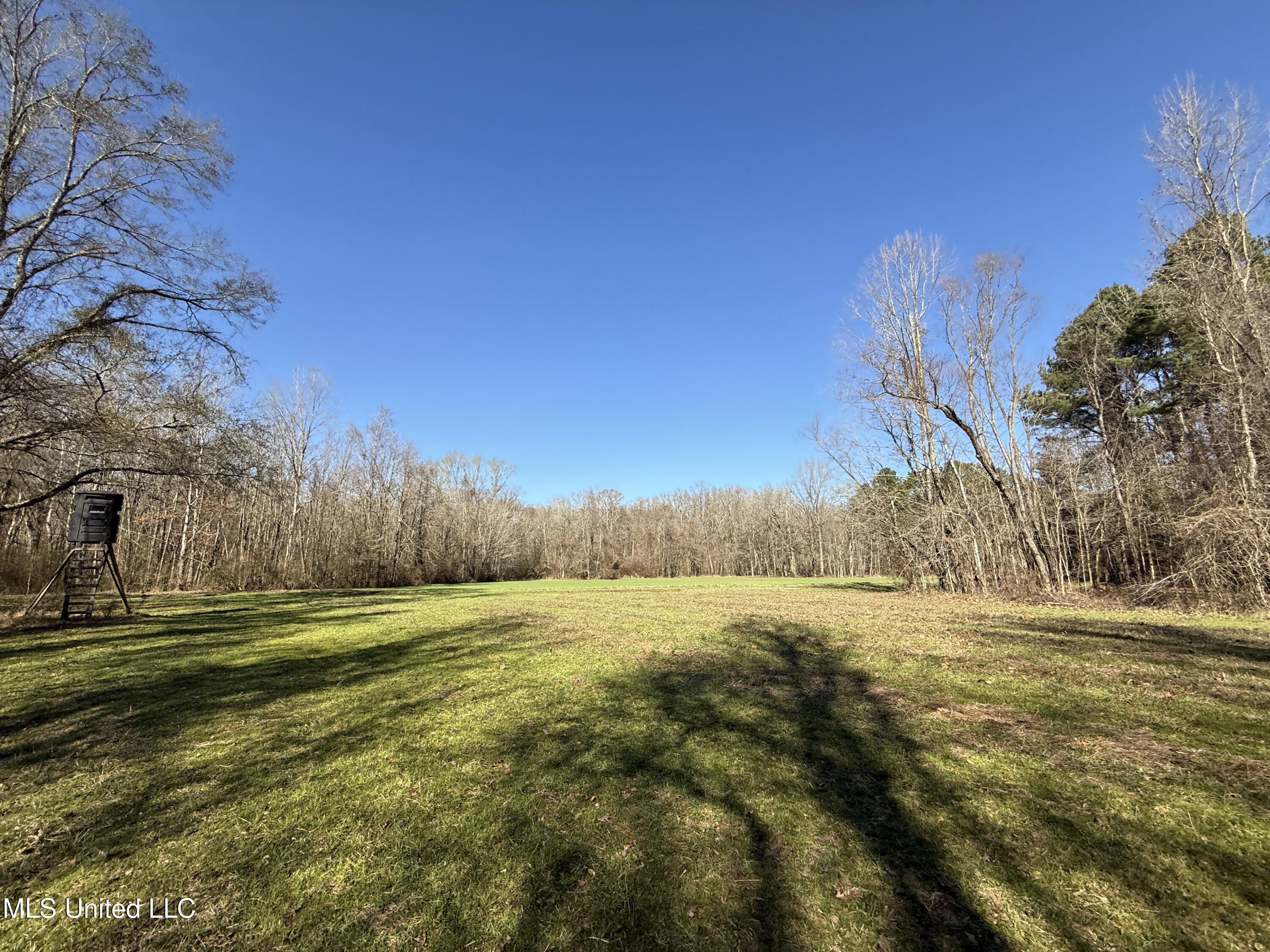114 Huff Lane Roxie, MS 39661 - Photo 40 of 54 IMG_0485