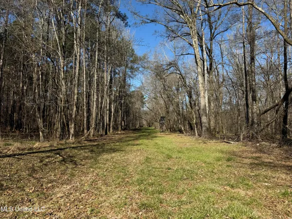 $2,300,000 | 114 Huff Lane, Roxie, MS 39661