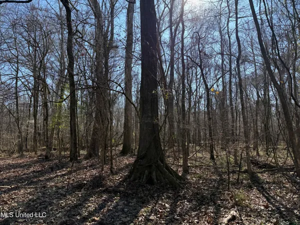 $2,300,000 | 114 Huff Lane, Roxie, MS 39661