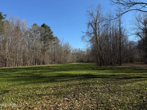 $2,300,000 | 114 Huff Lane, Roxie, MS 39661