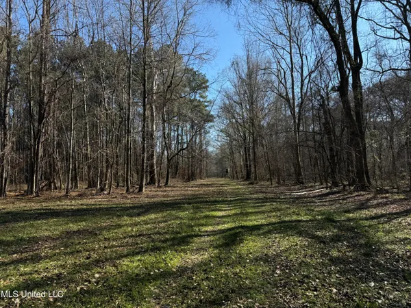 $2,300,000 | 114 Huff Lane, Roxie, MS 39661