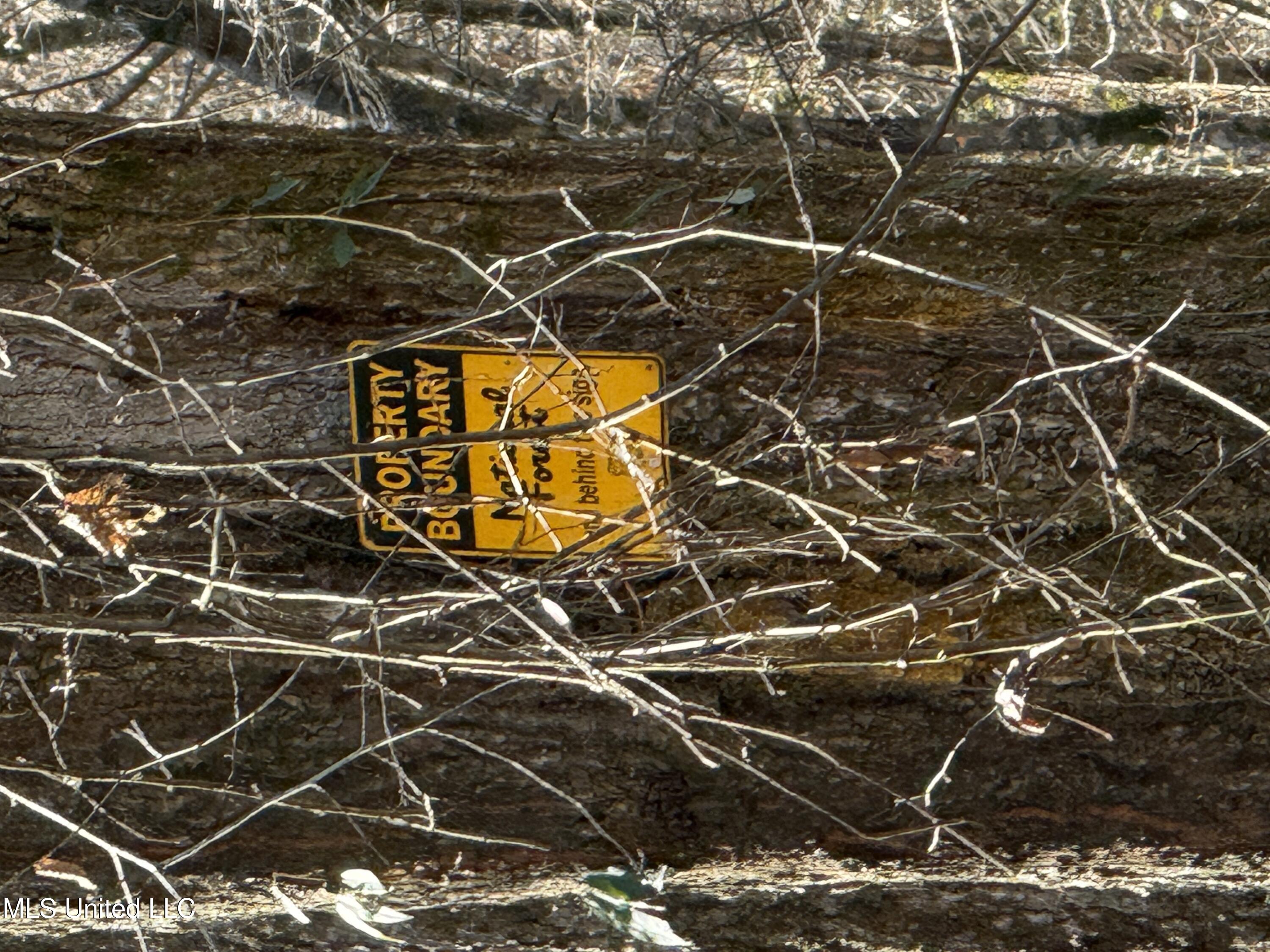 114 Huff Lane Roxie, MS 39661 - Photo 48 of 54 IMG_0462