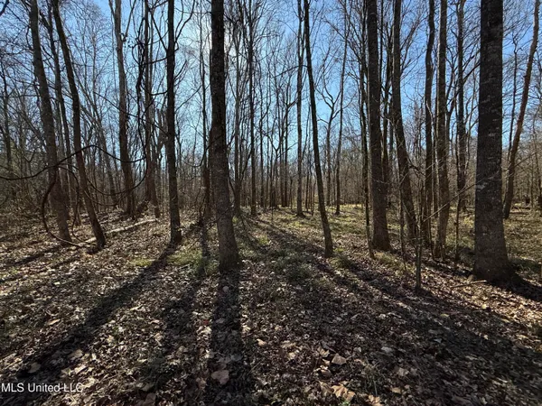 $2,300,000 | 114 Huff Lane, Roxie, MS 39661