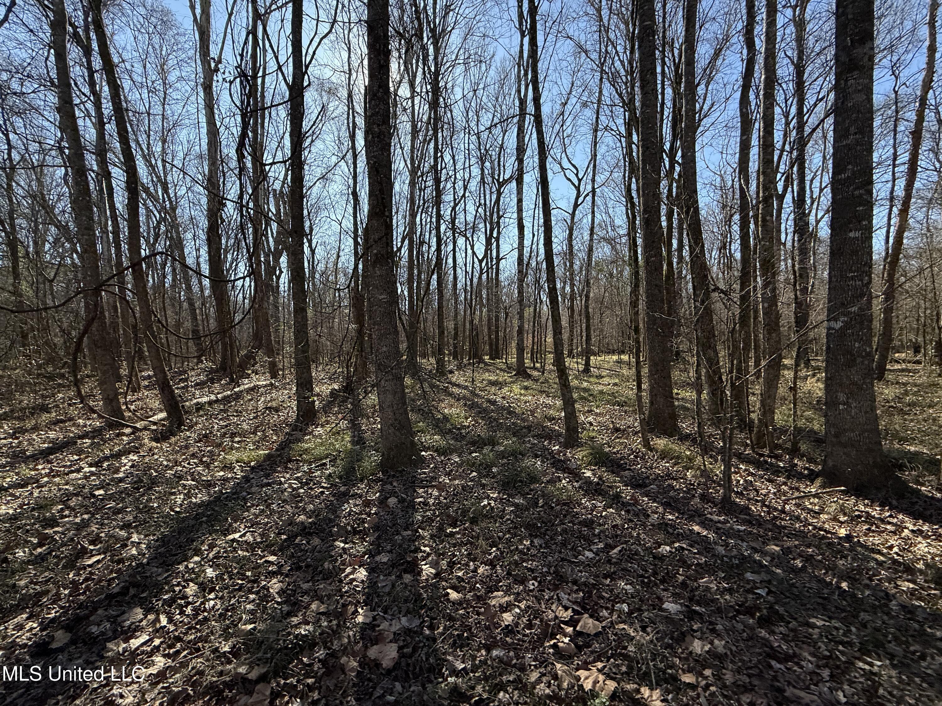 114 Huff Lane Roxie, MS 39661 - Photo 49 of 54 IMG_0461