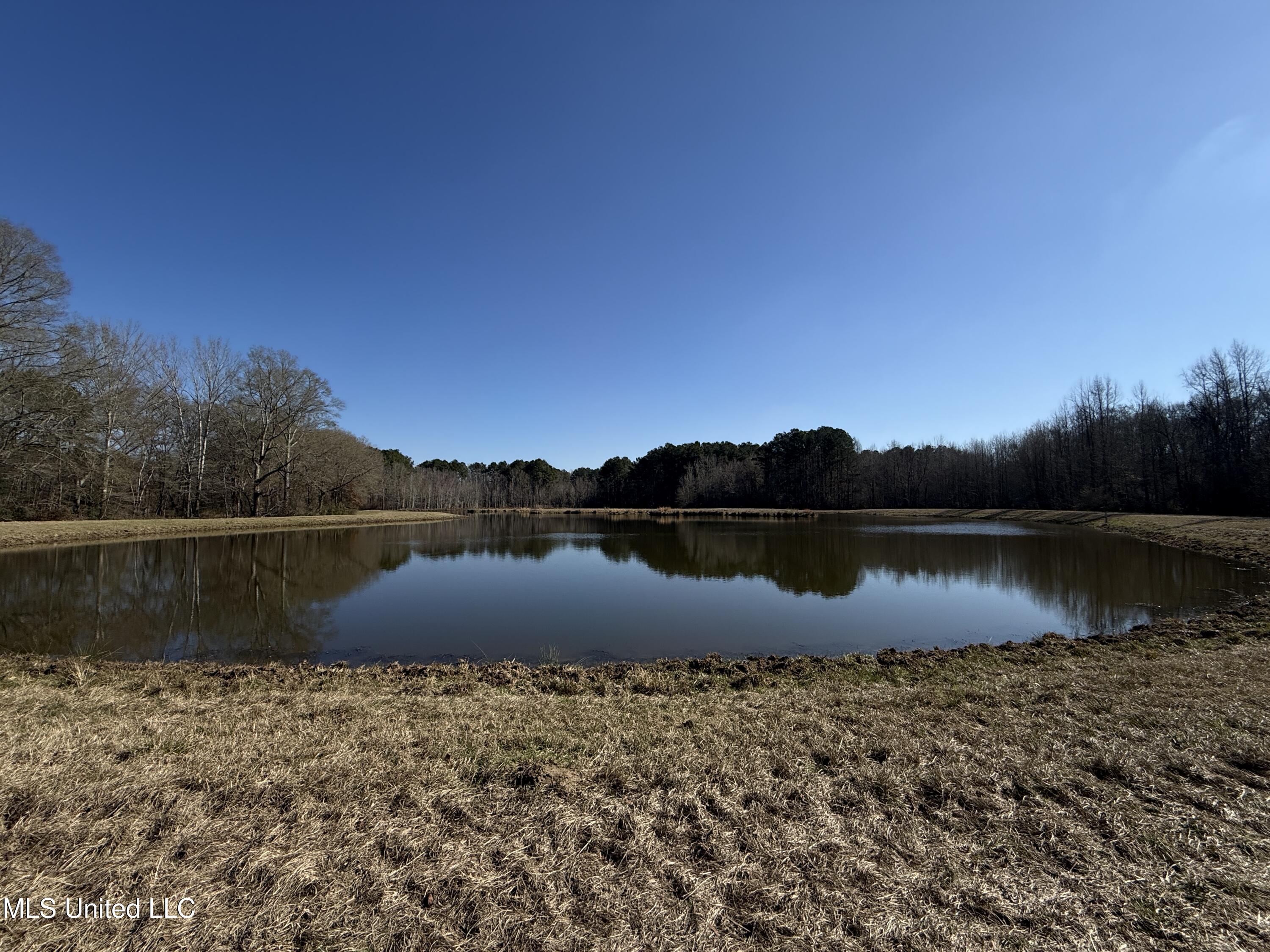 114 Huff Lane Roxie, MS 39661 - Photo 51 of 54 IMG_0457