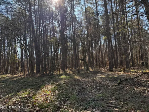 $2,300,000 | 114 Huff Lane, Roxie, MS 39661