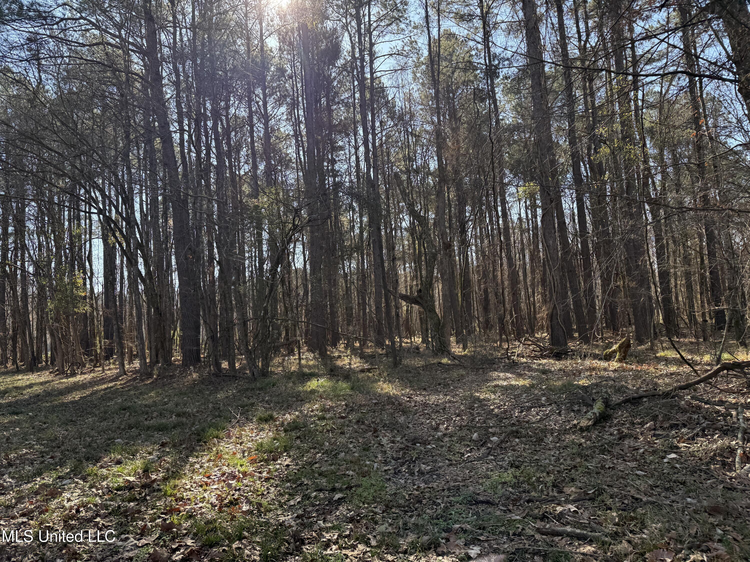 114 Huff Lane Roxie, MS 39661 - Photo 54 of 54 IMG_0446