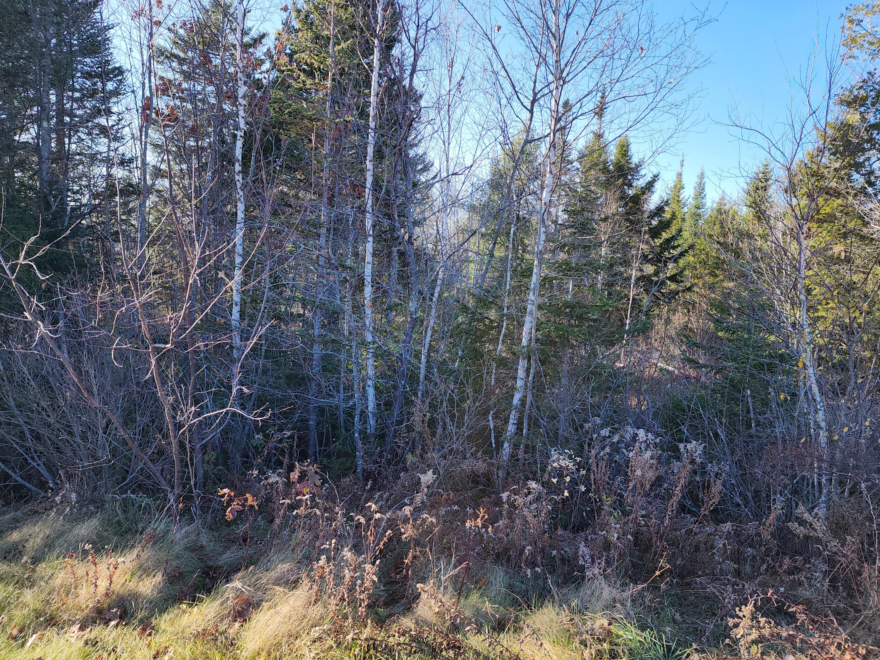 42 Sandy Ridge Lane Searsport, ME 04974 - Photo 3 of 9 20231121_130932