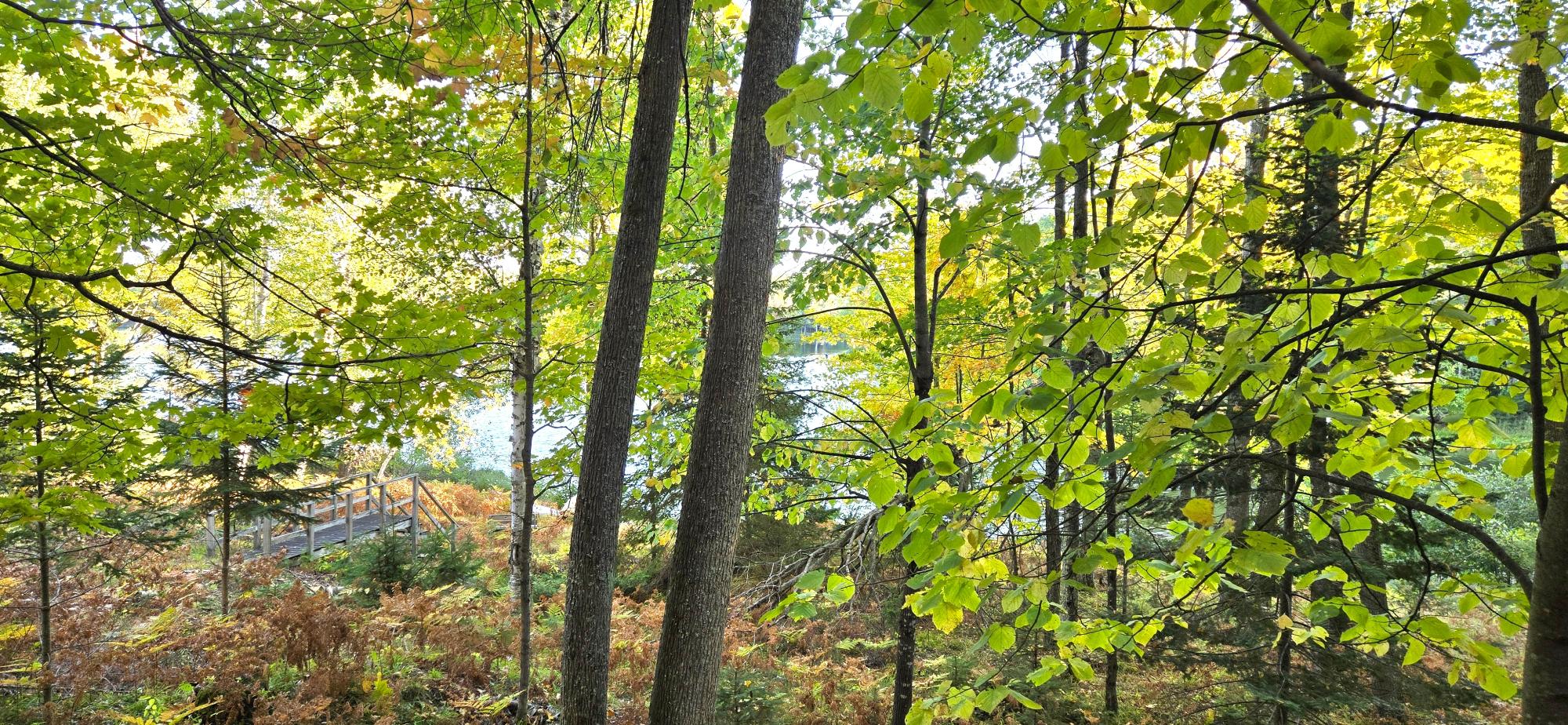 6998 Rosalind Road Presque Isle, WI 54557 - Photo 53 of 66 Gallery Image 53