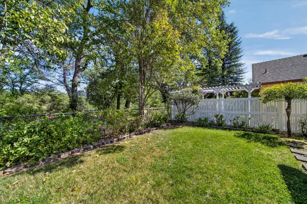 a view of a back yard