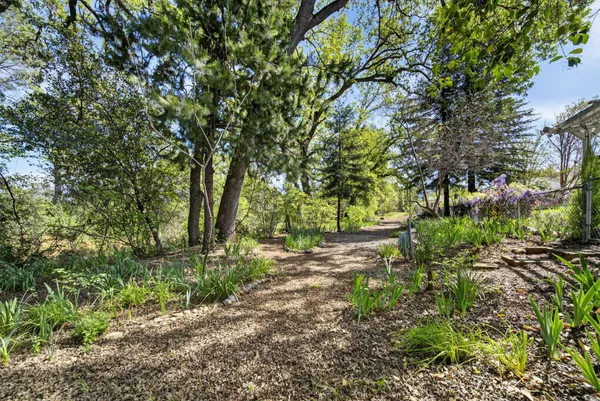 a view of backyard with green space