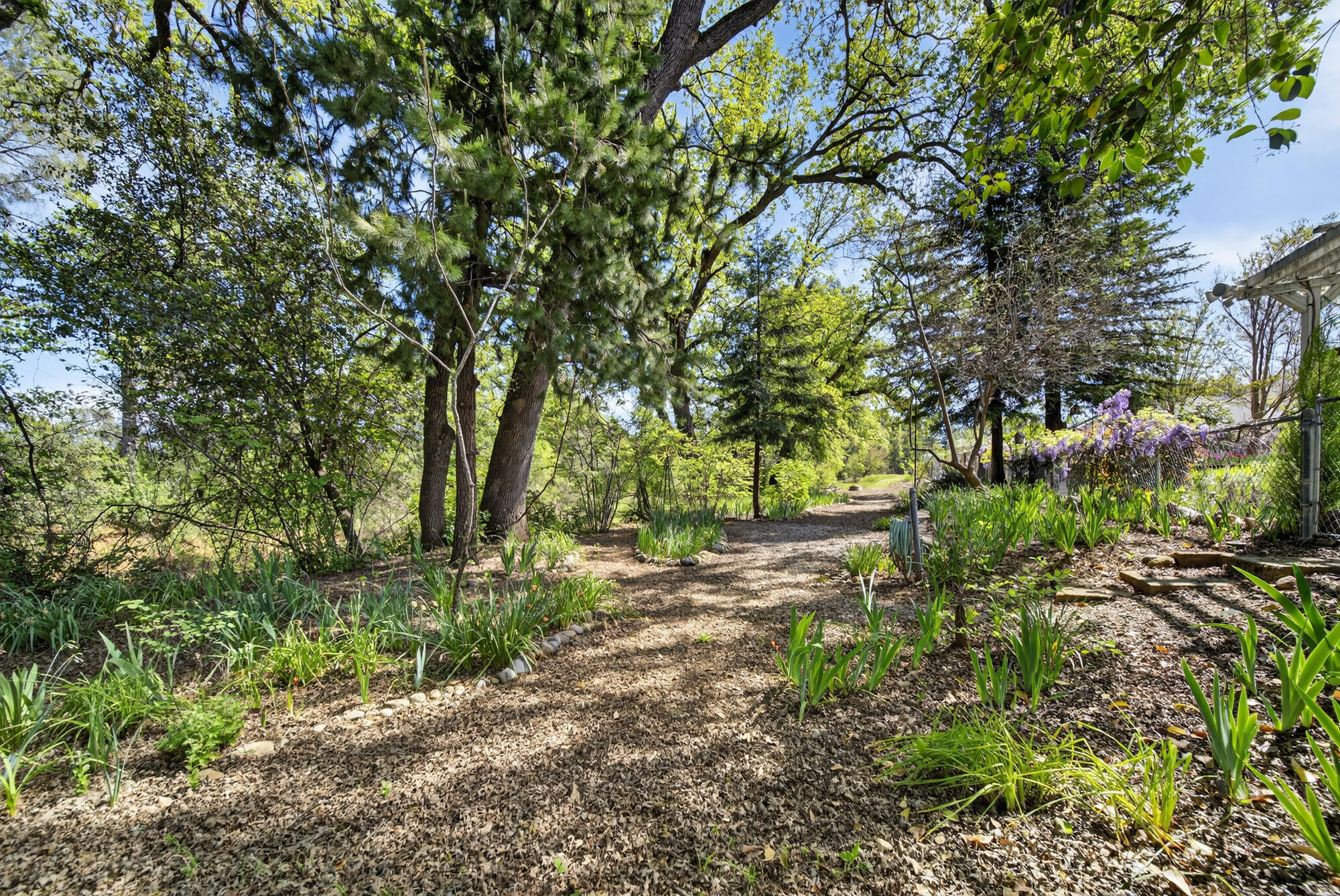 647 Olympic Street Redding, CA 96003 - Photo 34 of 39 647 Olympic St., Redding-32