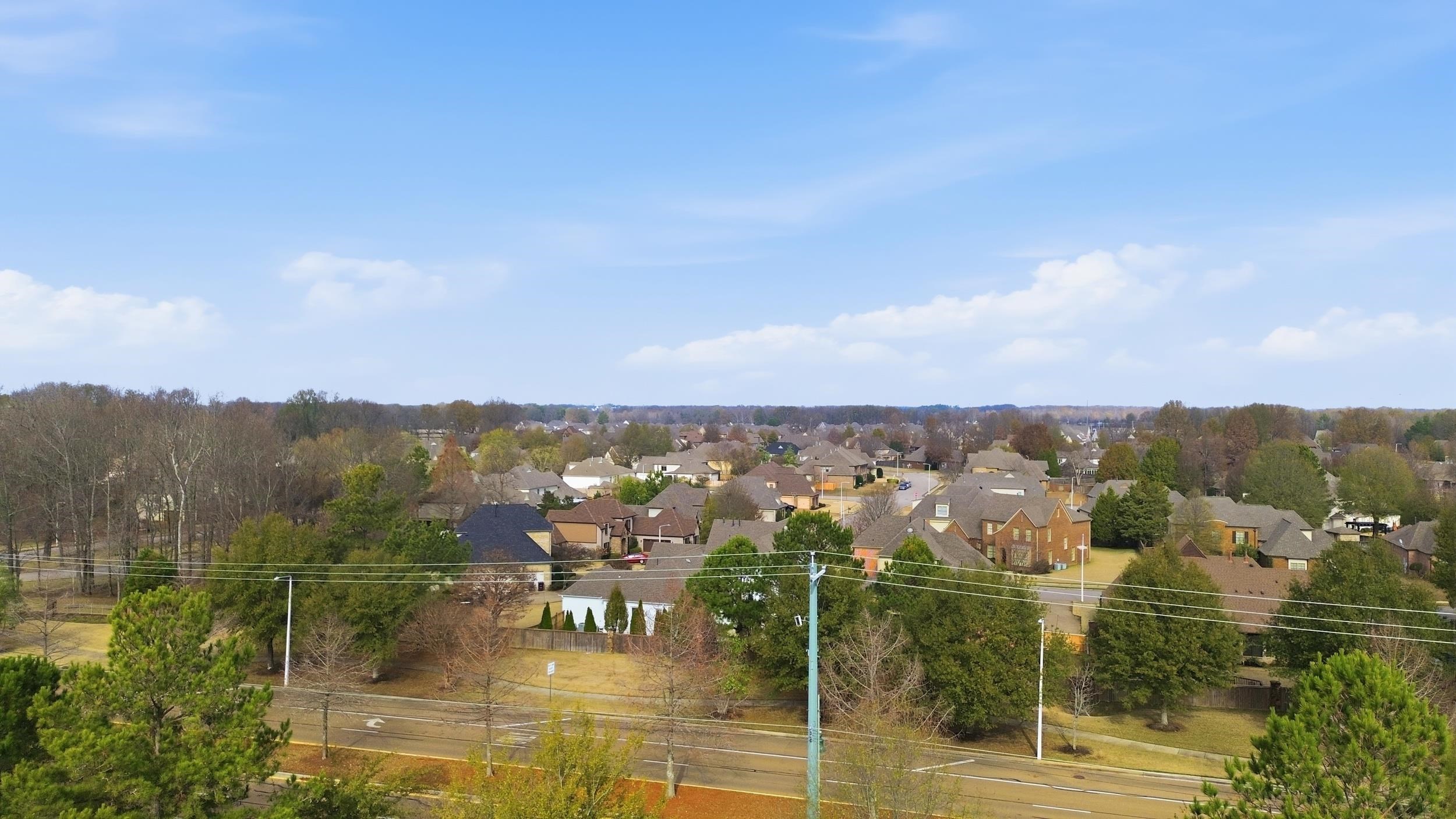 11080 Shelby Post Road Collierville, TN 38017 - Photo 38 of 39 Aerial view of residential area