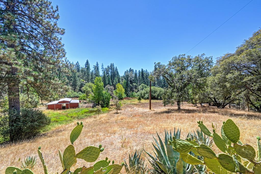 828 West Weimar Cross Road Colfax, CA 95713 - Photo 35 of 56 Gallery Image 35