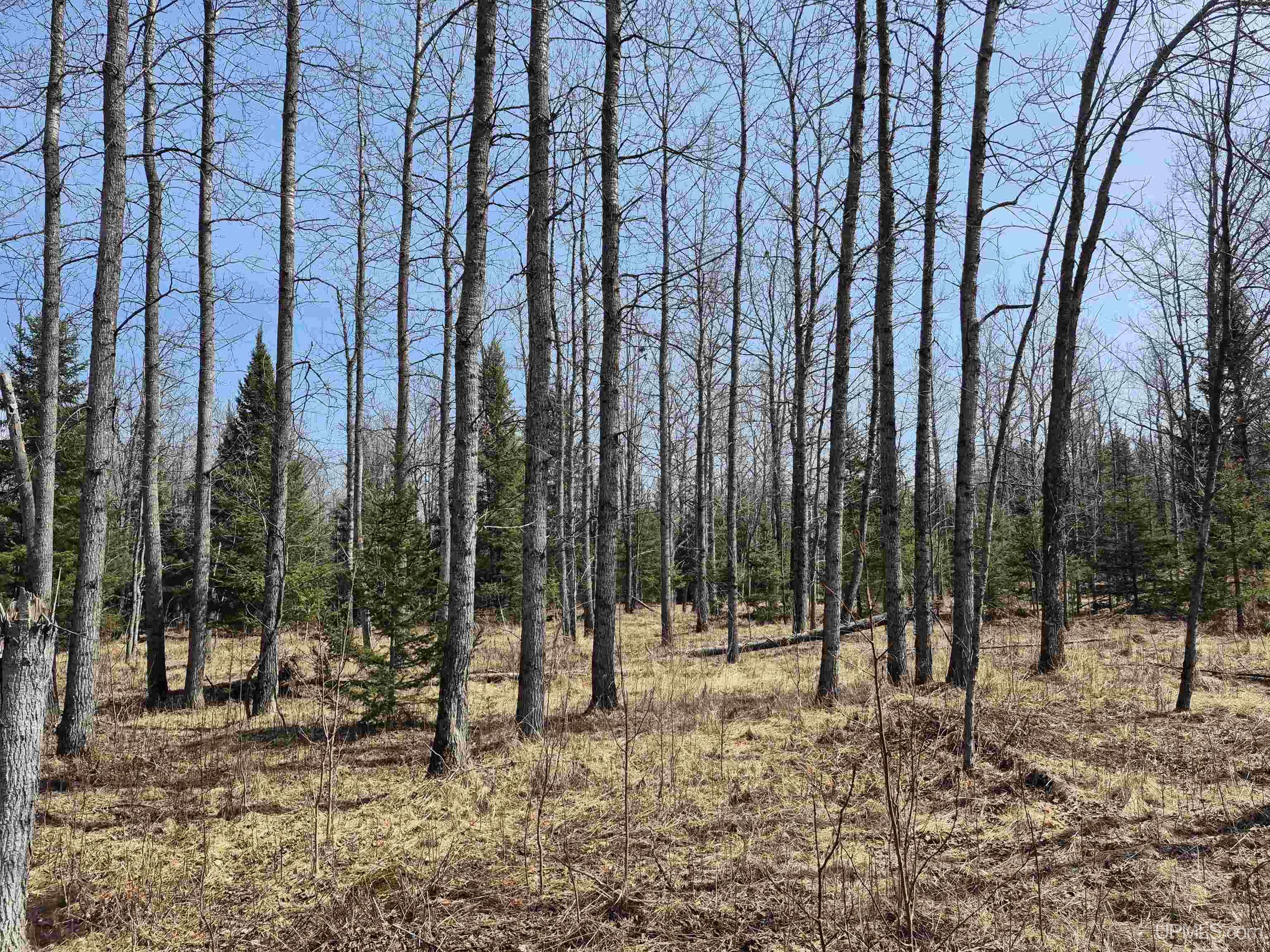 30-acres Turner Road Channing, MI 49815 - Photo 20 of 33