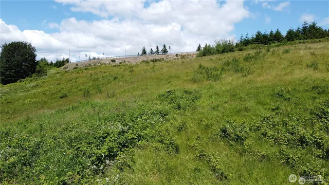 a view of a bunch of trees in a field