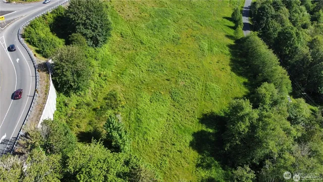 a view of a garden with a plants