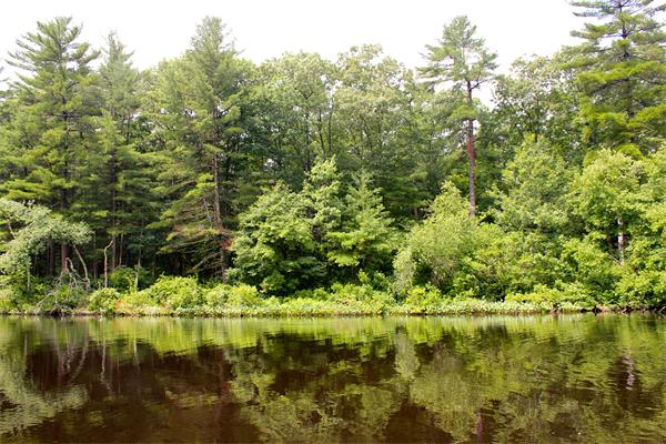 59 Tiffany Road Norwell, MA 02061 - Photo 20 of 21 Gallery Image 20