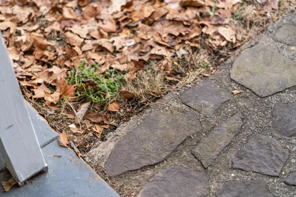 a close up of a wall