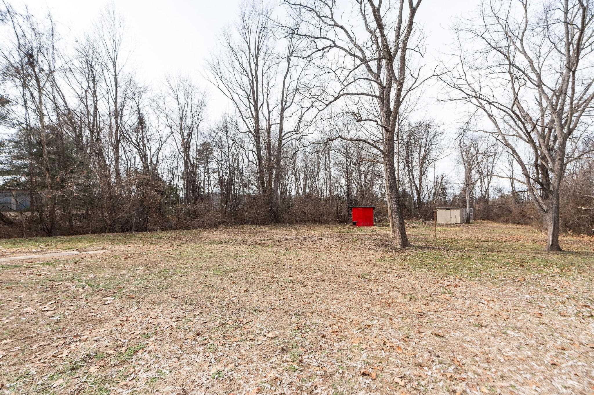 503 Augusta Avenue Grottoes, VA 24441 - Photo 50 of 61 a view of empty space with large trees