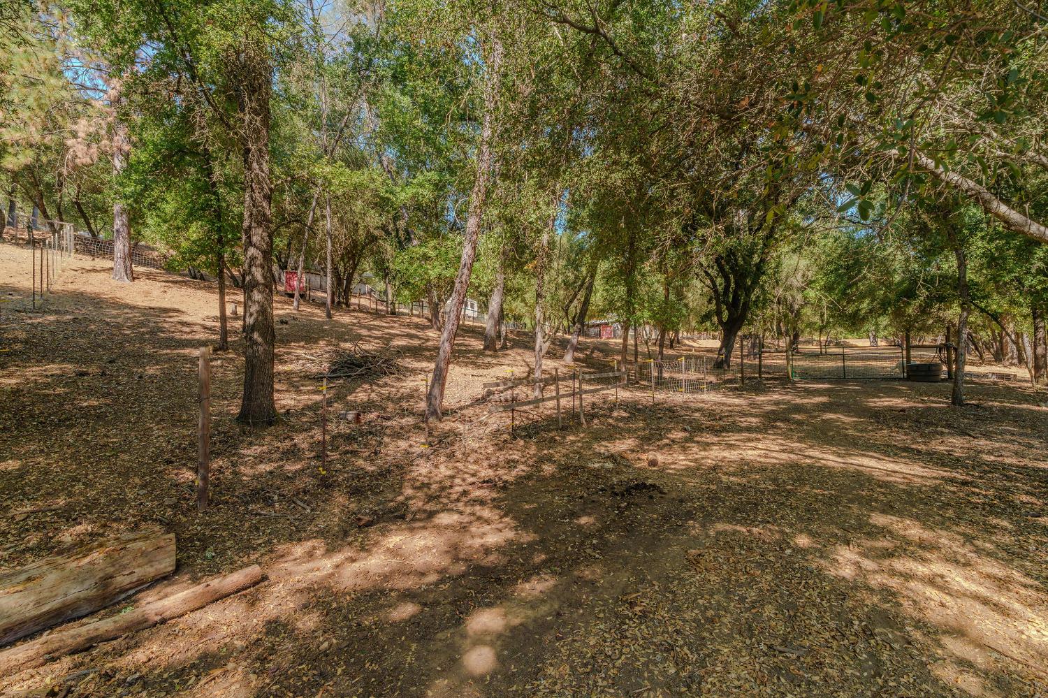 2988 Spring Hill Road San Andreas, CA 95249 - Photo 63 of 95