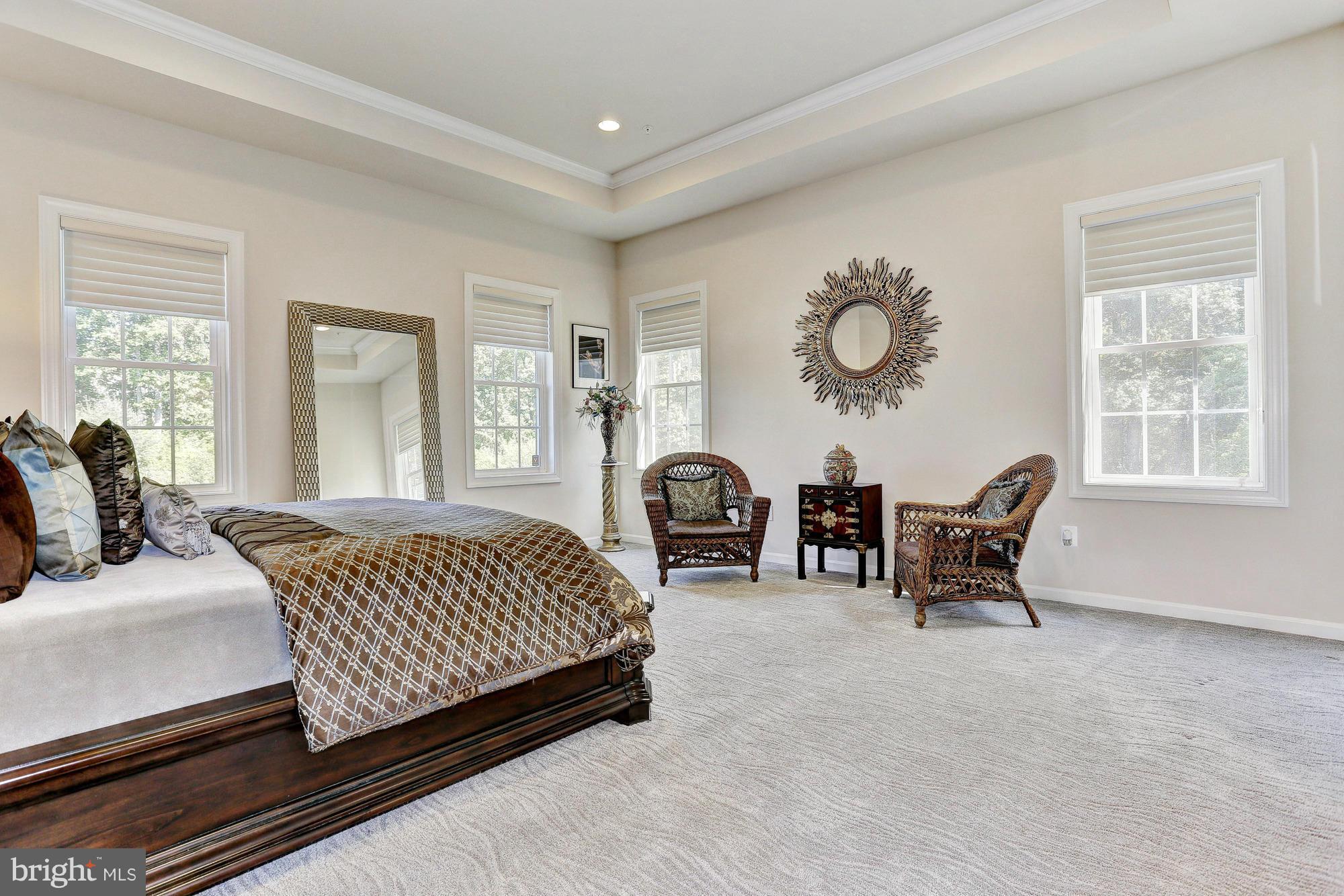 4877 Castlebridge Road Ellicott City, MD 21042 - Photo 17 of 30 Sunbathed w/ Tray Ceiling