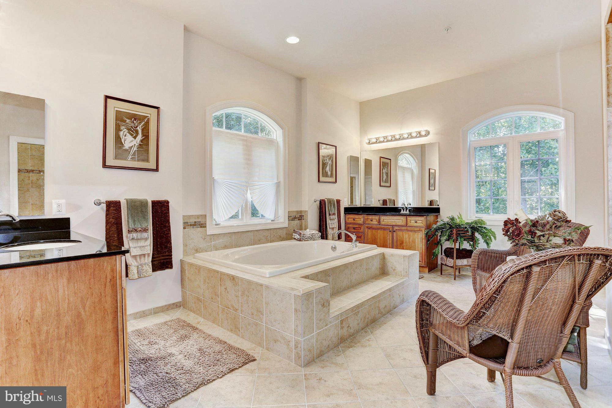 4877 Castlebridge Road Ellicott City, MD 21042 - Photo 18 of 30 Luxurious Master Bath