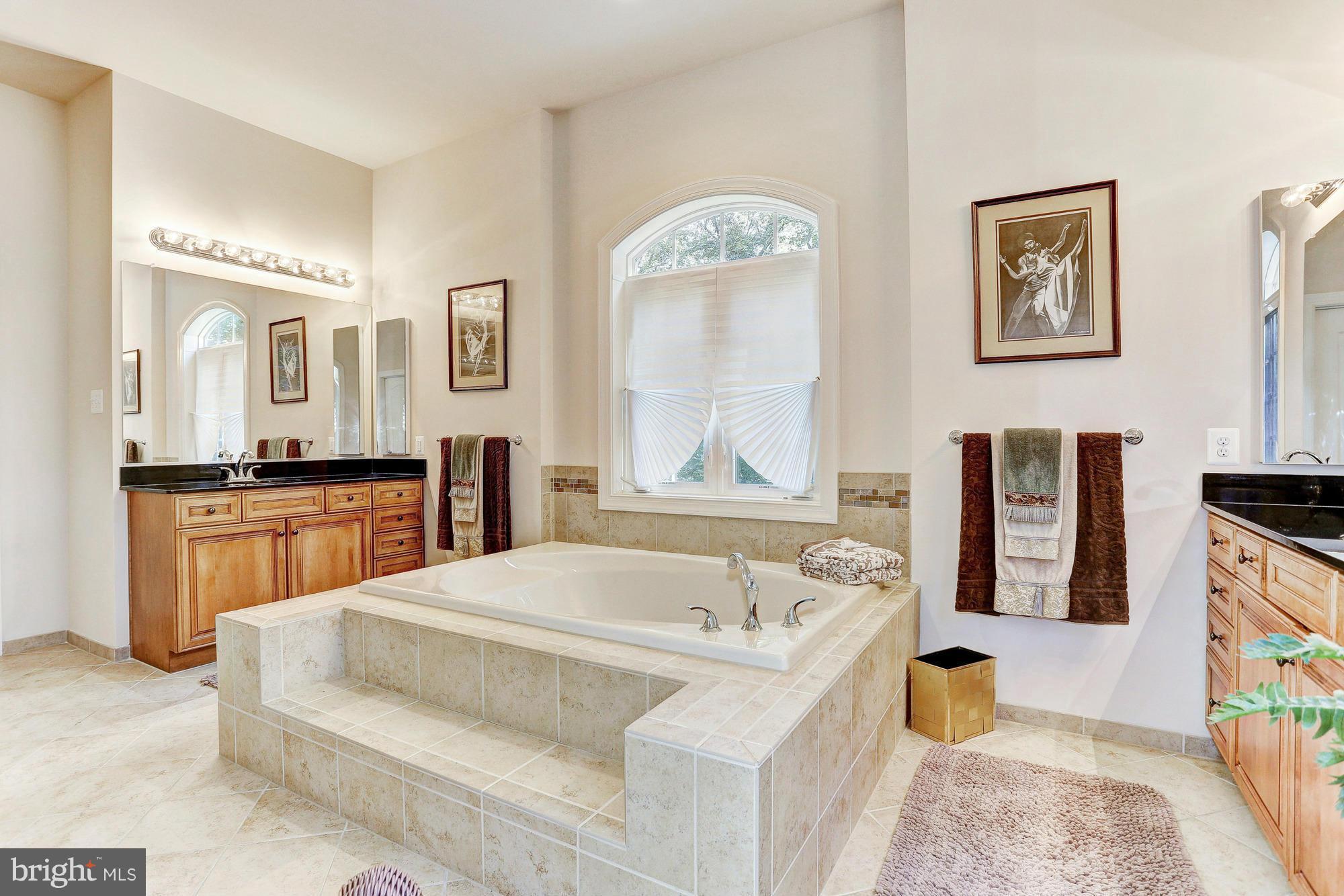 4877 Castlebridge Road Ellicott City, MD 21042 - Photo 19 of 30 Spa Tub