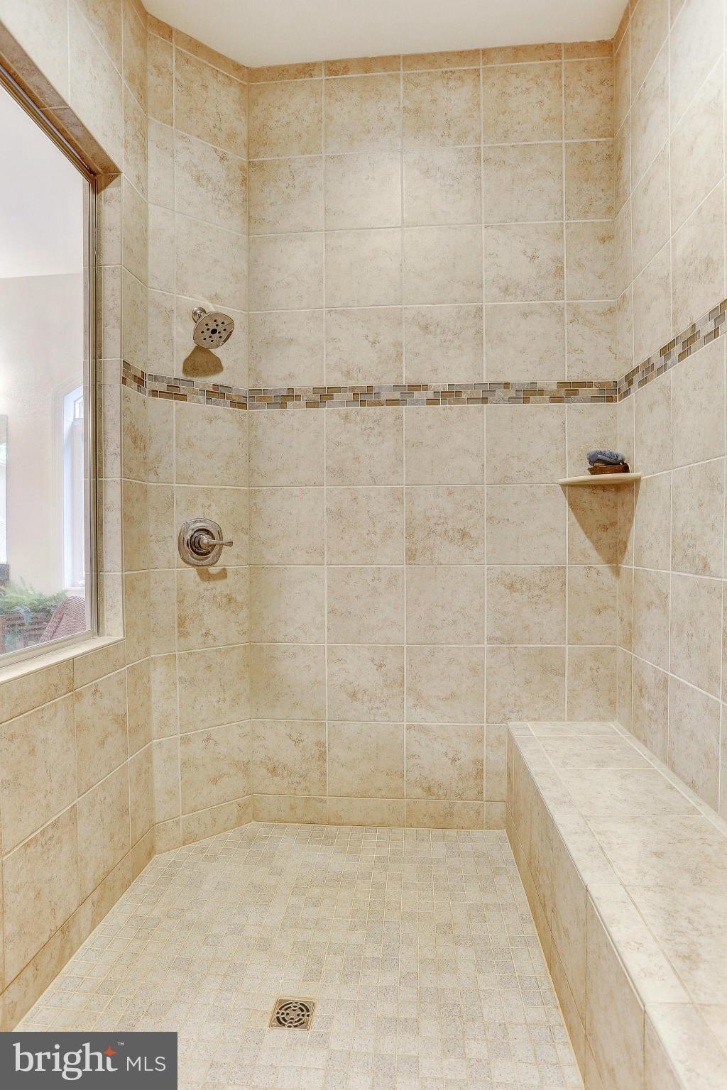 4877 Castlebridge Road Ellicott City, MD 21042 - Photo 20 of 30 Steam Shower w/Dual Shower Heads