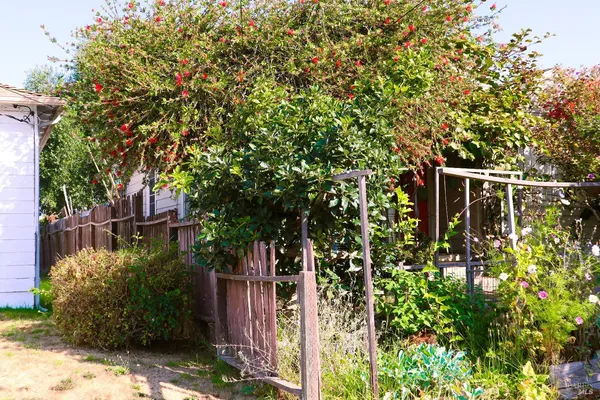 $599,888 | 1156 64th Street, Oakland, CA 94608