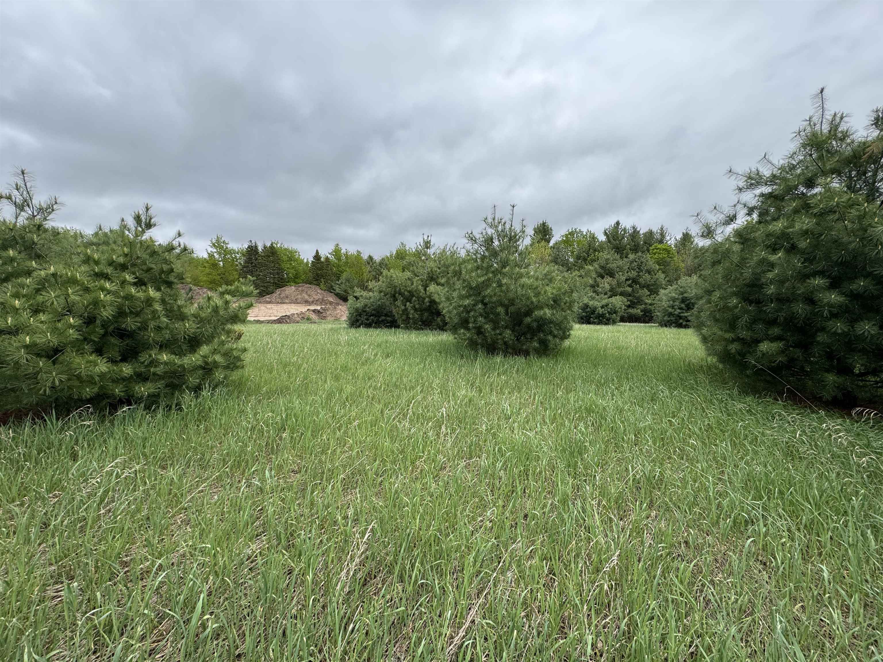 Lot #7 East Bellinger Road, Unit E HIGHLAND WOODS BELLIN Cedar, MI 49621 - Photo 7 of 20