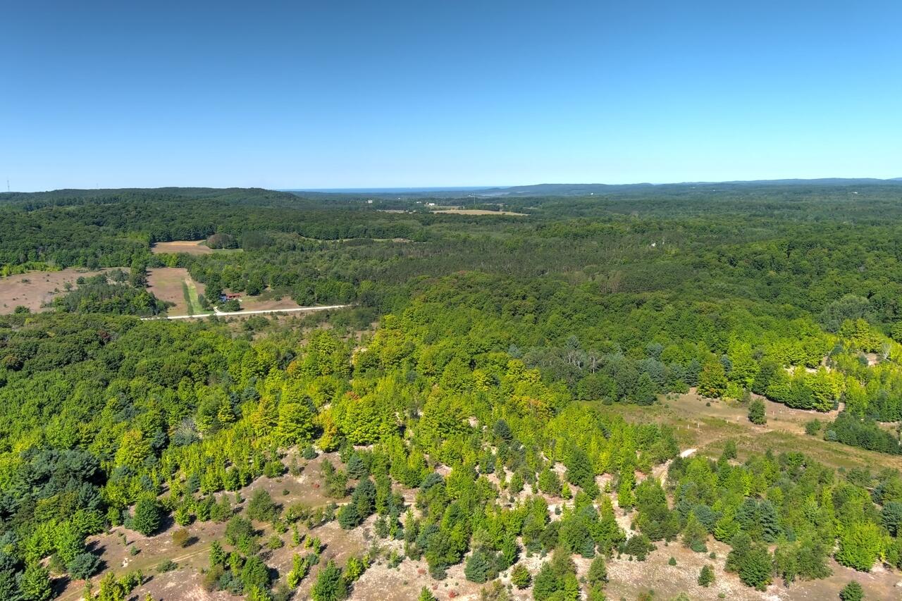 A5 Wallaker Road Benzonia, MI 49616 - Photo 5 of 18 2-Aerial-View-2