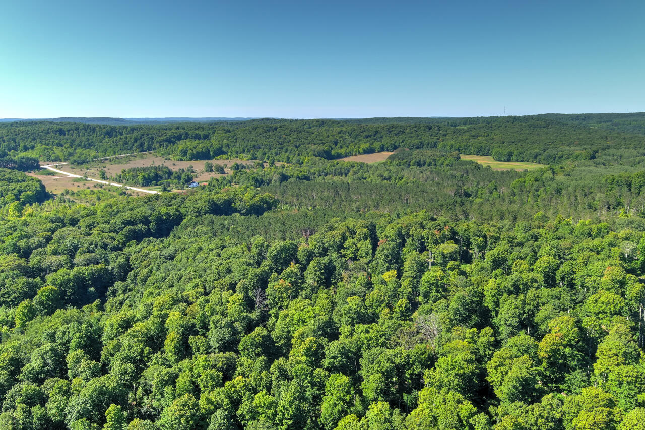 A5 Wallaker Road Benzonia, MI 49616 - Photo 6 of 18 8-Aerial-View-8