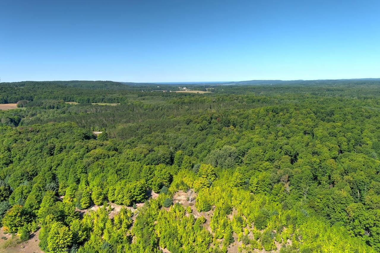 A5 Wallaker Road Benzonia, MI 49616 - Photo 7 of 18 1-Aerial-View-1
