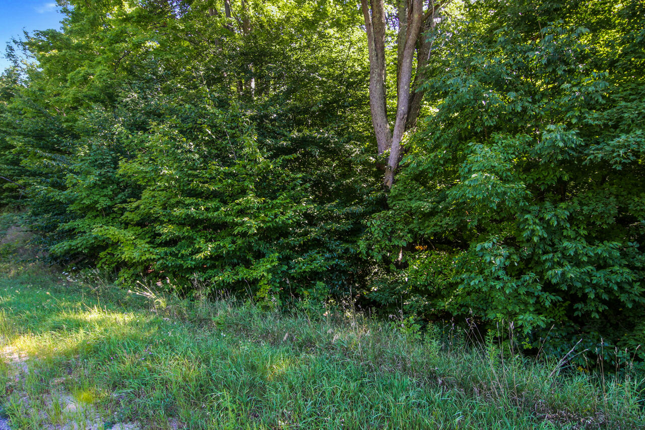 A5 Wallaker Road Benzonia, MI 49616 - Photo 8 of 18 1-Scene-1
