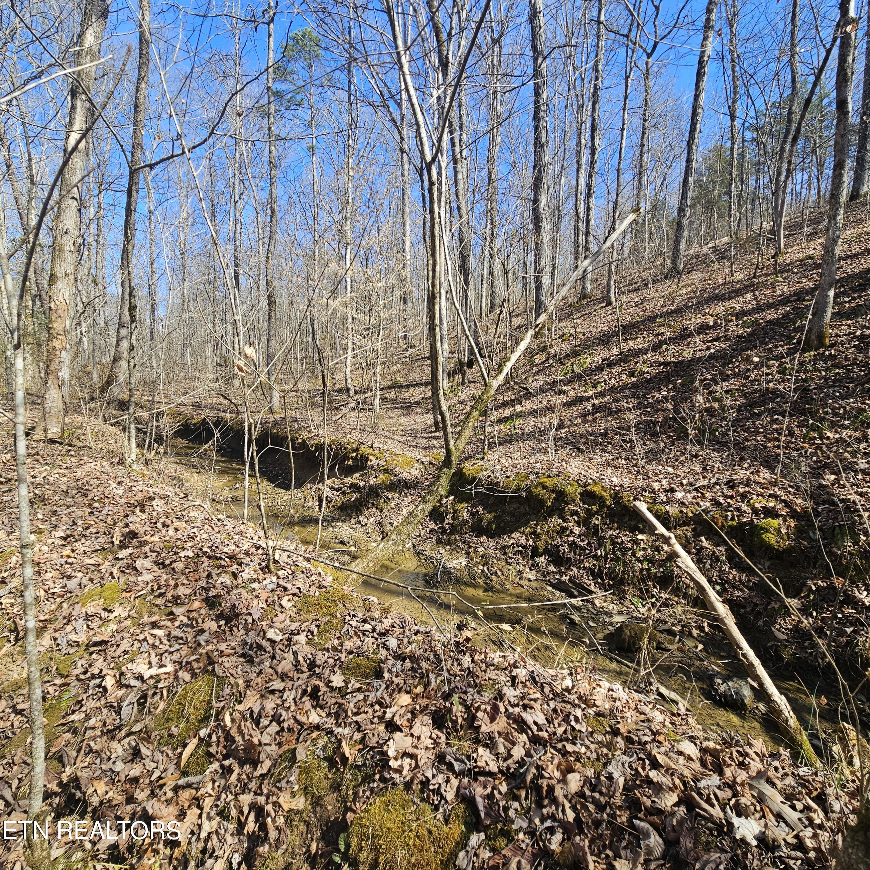 Creek Road Tellico Plains, TN 37385 - Photo 7 of 19 left side