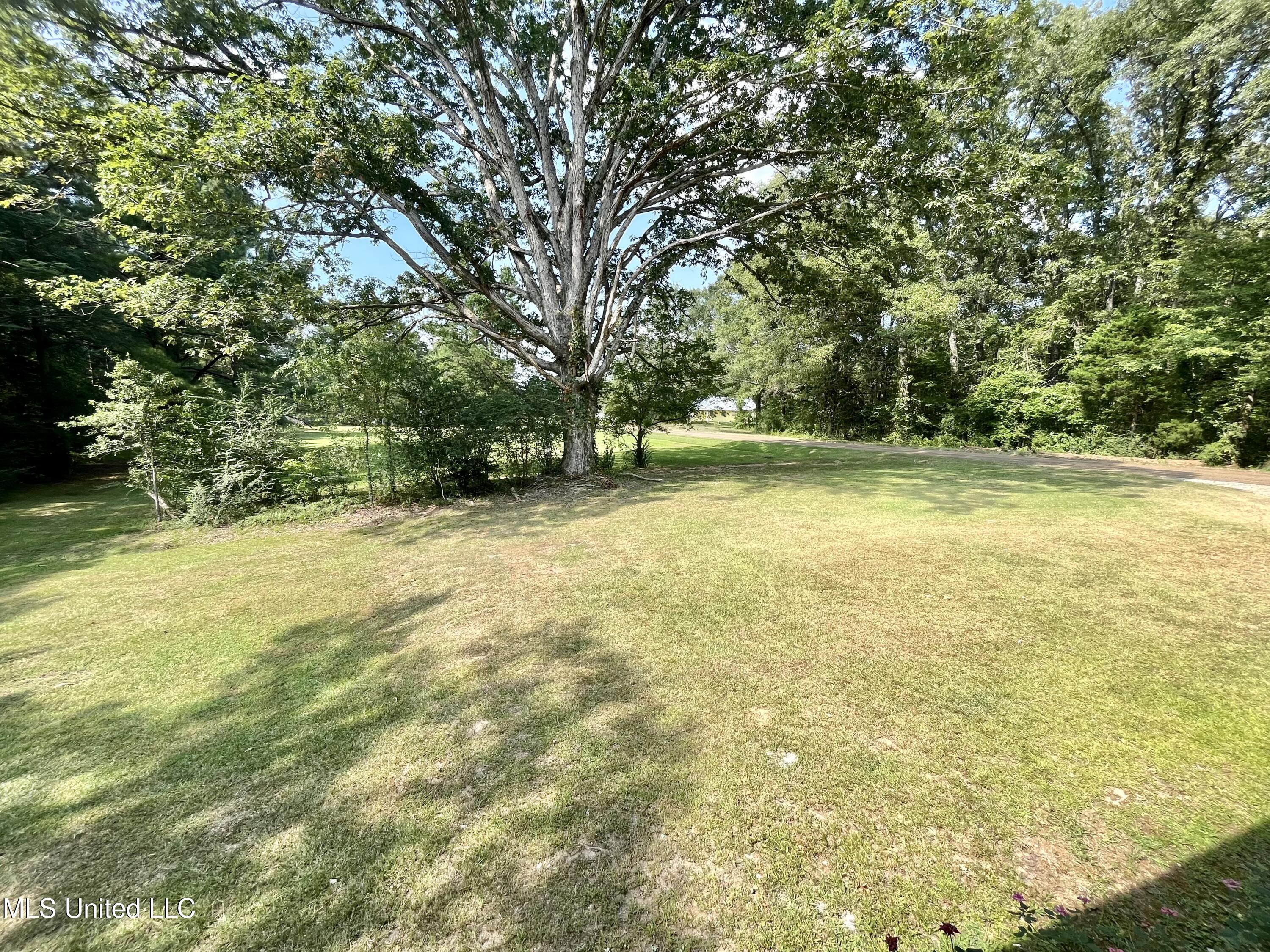 2195 County Line Road Crystal Springs, MS 39059 - Photo 34 of 44 IMG_7789