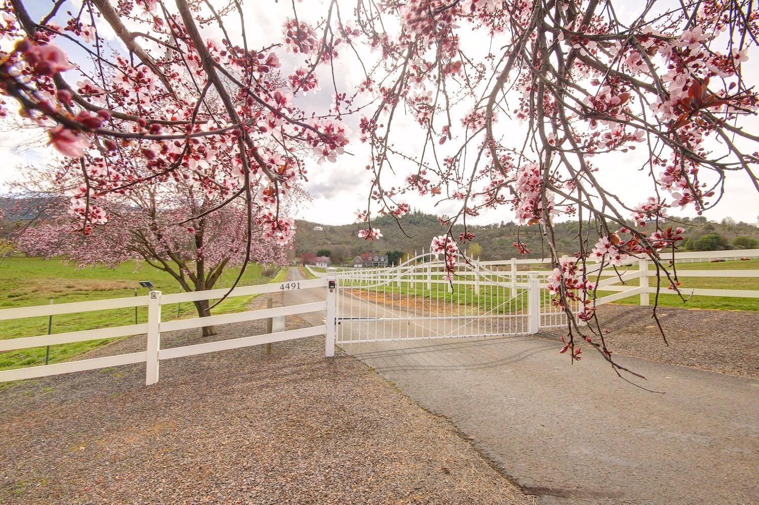 4491 Pioneer Road Medford, OR 97501 - Photo 6 of 34 Beautiful gated entry to entirely fenced