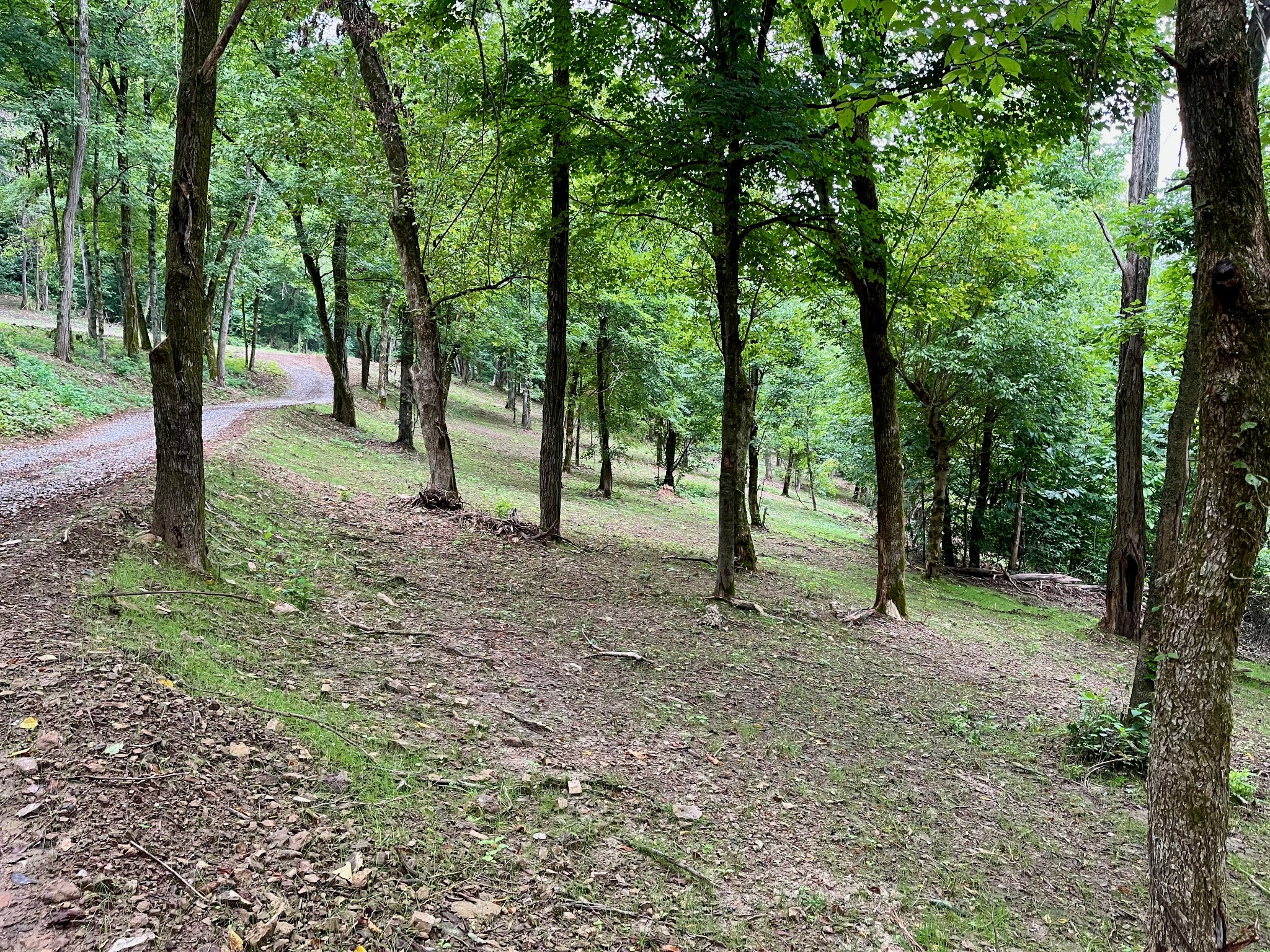 135 Dillehay Hollow Road Pleasant Shade, TN 37145 - Photo 31 of 47