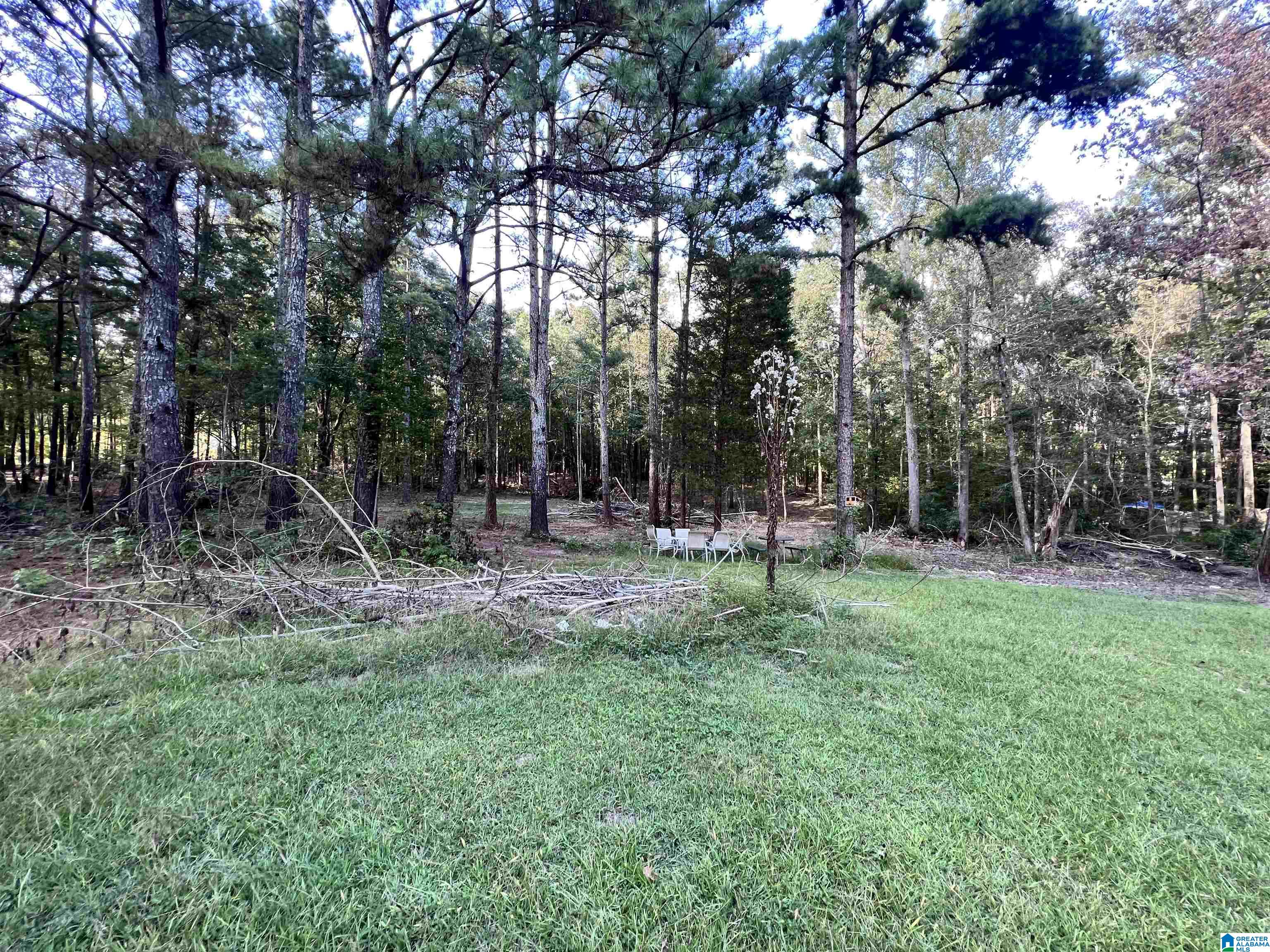 4941 Pleasant Valley Road Ashville, AL 35953 - Photo 4 of 15