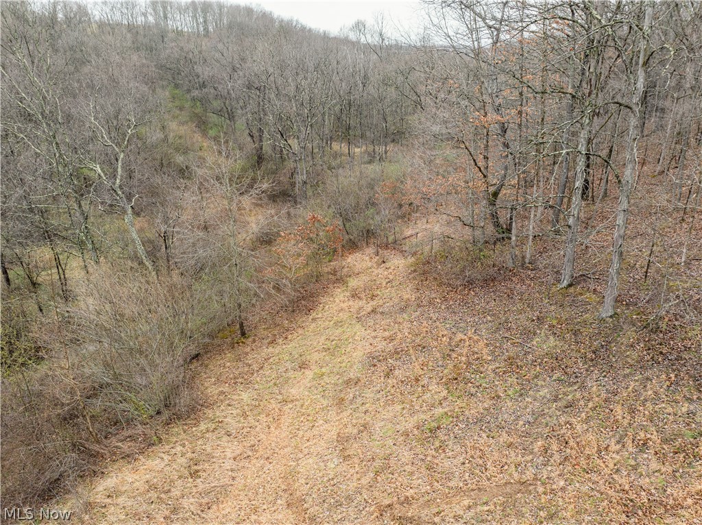Buck Hill Road Frazeysburg, OH 43822 - Photo 23 of 24