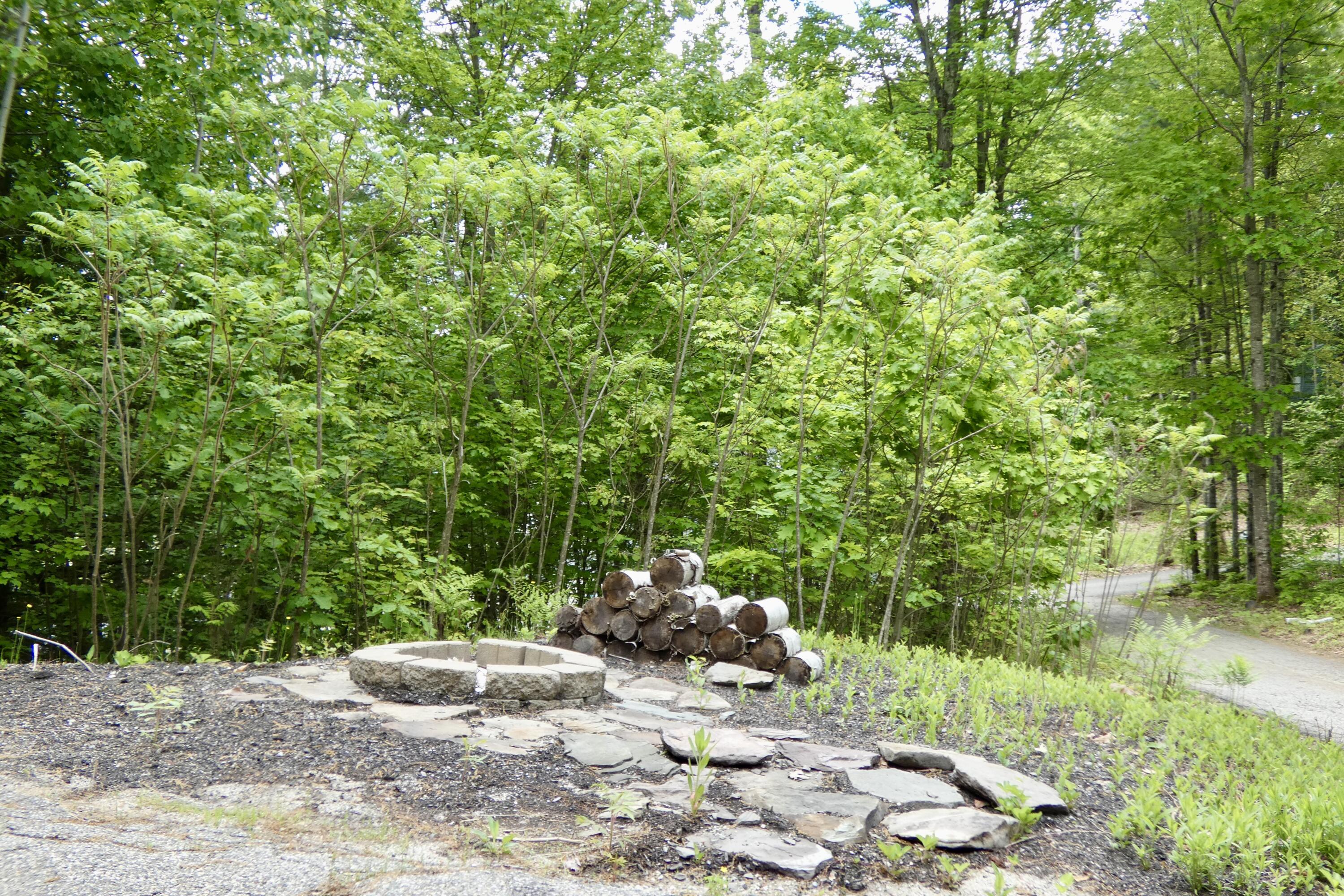 P1000282