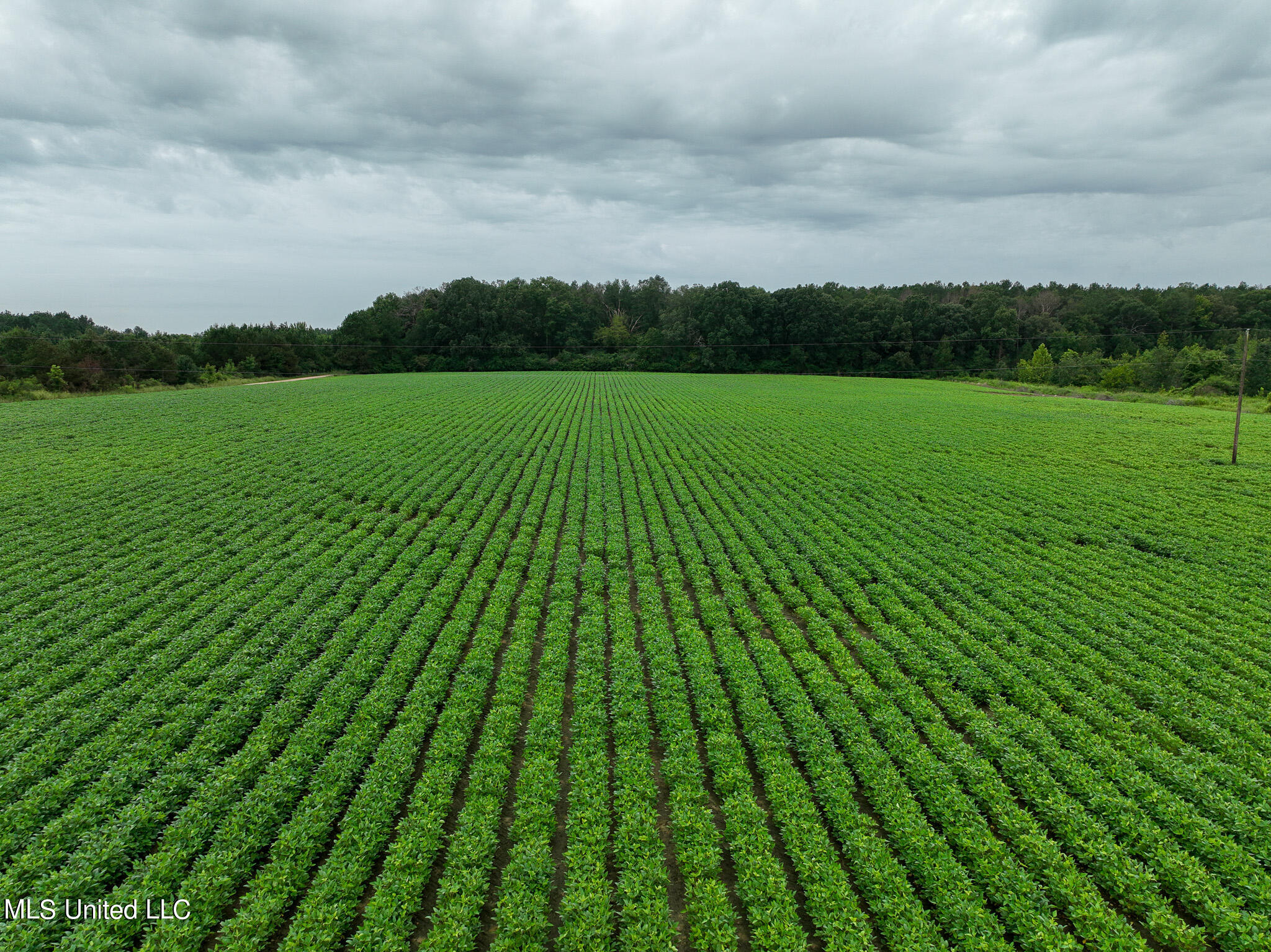 DJI_0205