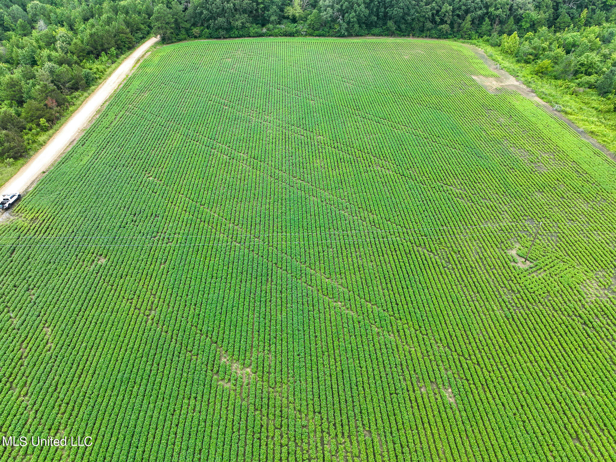 DJI_0203