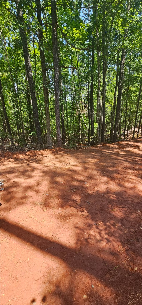 1702 Goings Road Chester, SC 29706 - Photo 19 of 24 Mature trees frame a cleared red-dirt lot ready for custom construction.