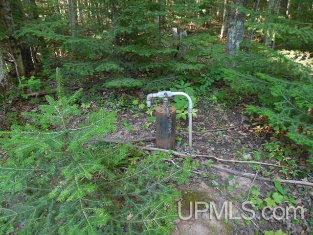 42011 Ten Mile Point Road Ontonagon, MI 49953 - Photo 16 of 20