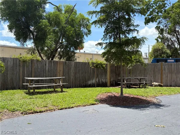 a park with wooden bench and trees
